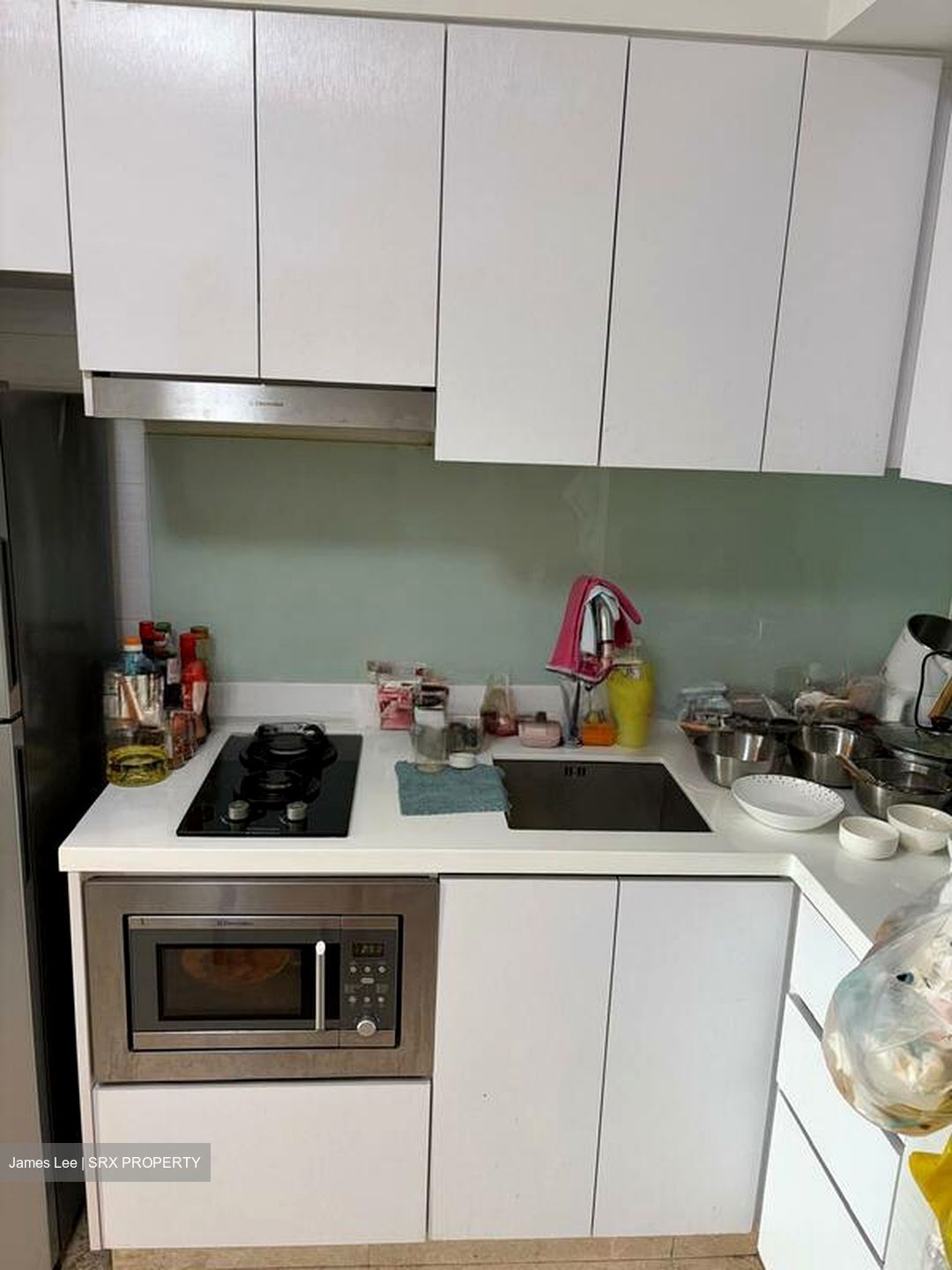 Eight Riversuites (D12), Condominium #523670481